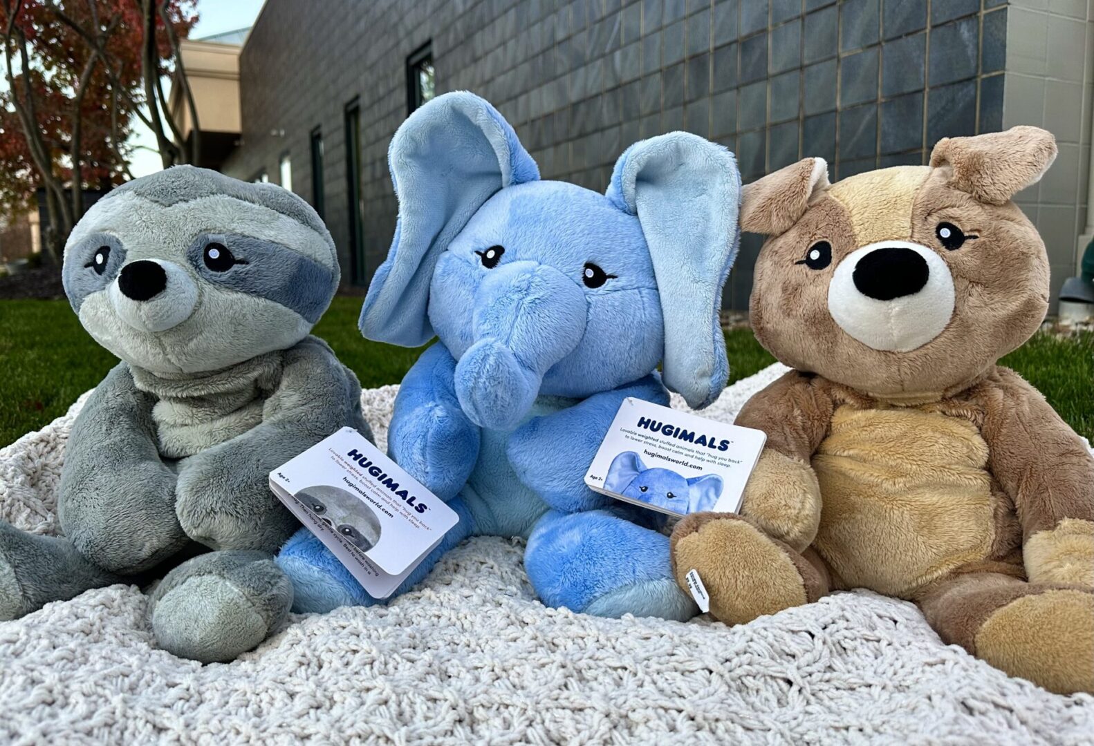 Three Hugimals sitting on a blanket in front of a building.